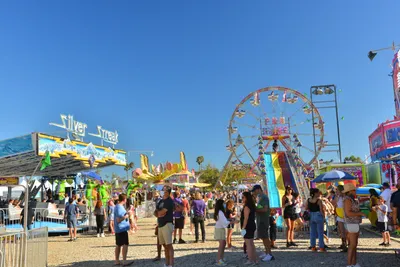 DSC_7596 (Large).JPG